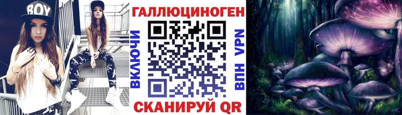 Псилоцибиновые грибы Psilocybe  где купить наркоту  Сальск 